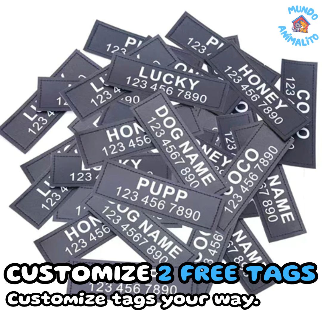 Safe Buddy Personalized Dog Harness with Name and Phone Number - Limited Edition