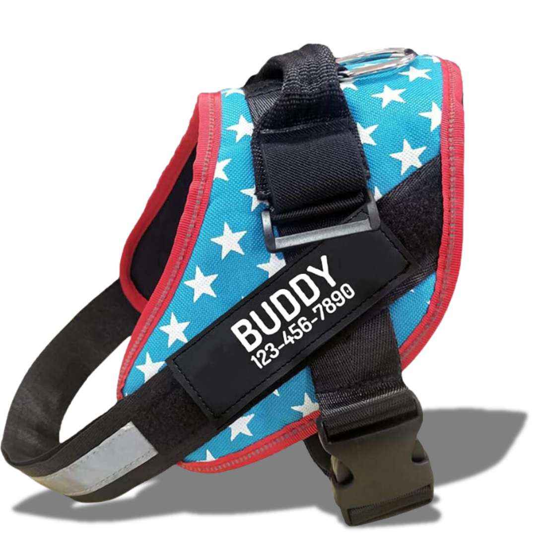 Safe Buddy Personalized Dog Harness with Name and Phone Number - Limited Edition