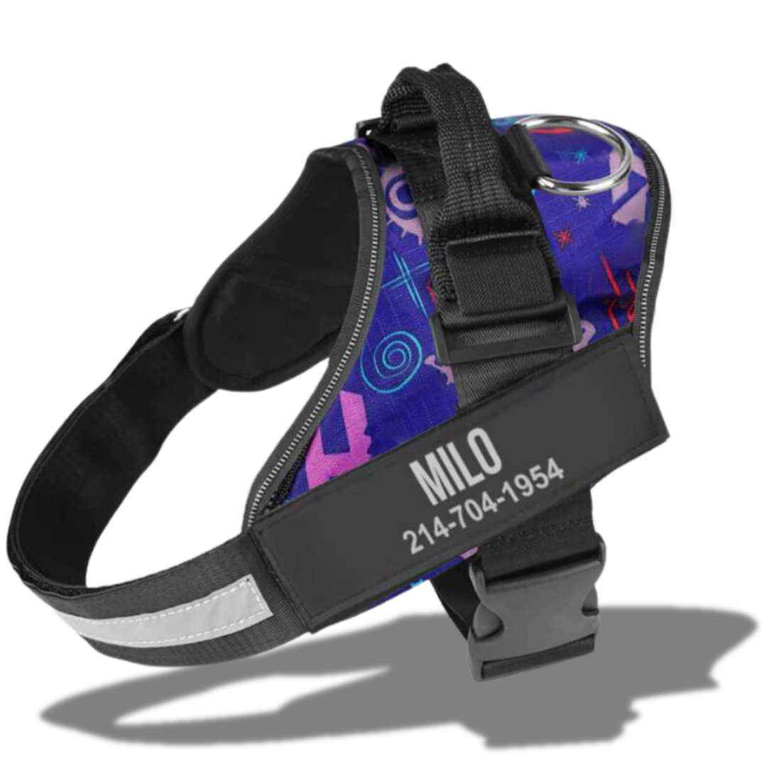 Coleira Peitoral Ajustável, Personalizável com Nome e Número de Telefone - Safe Buddy Edição Limitada