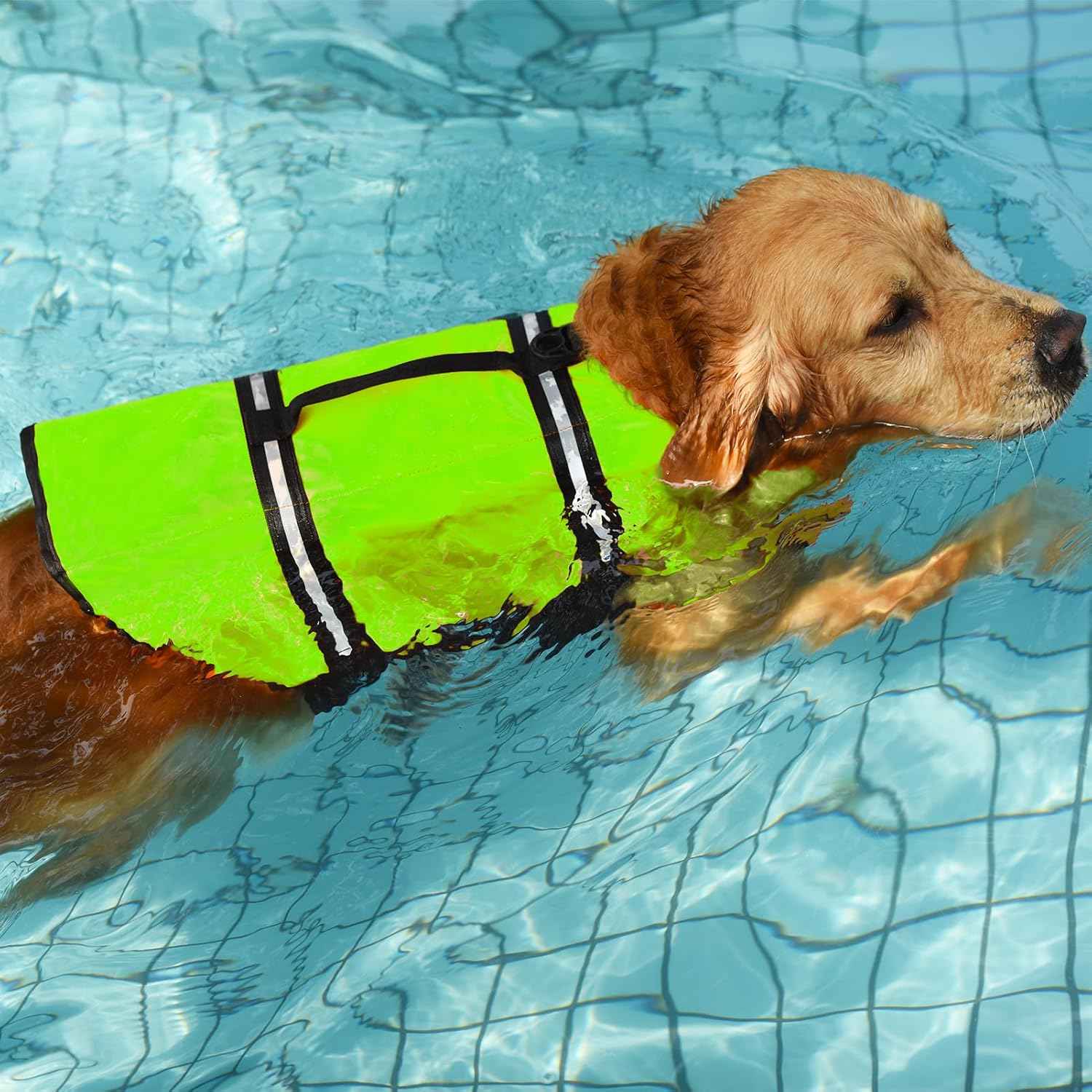 Colete Salva Vidas para Cachorros de Poliéster e Ajustável