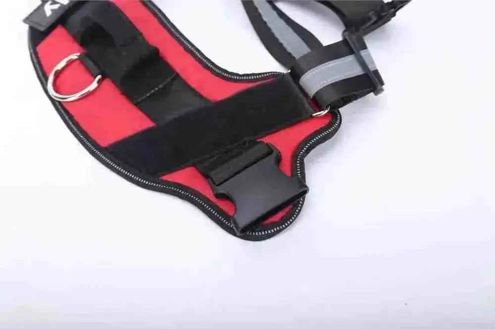 Peitoral Personalizado com Nome e Telefone, Ajustável e Refletivo - Safe Buddy