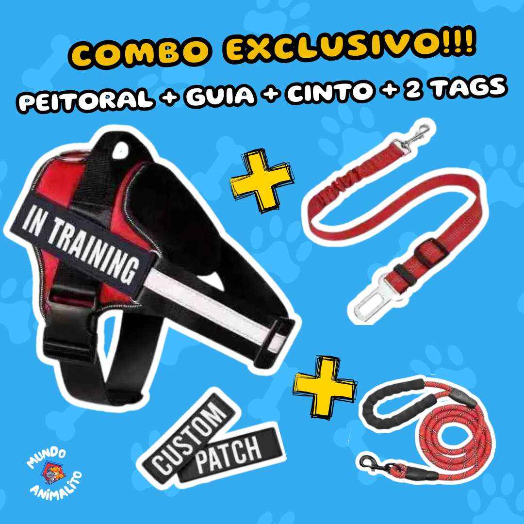 Peitoral Personalizado para Cães com Nome, Telefone e Cinto de Segurança - Safe Buddy