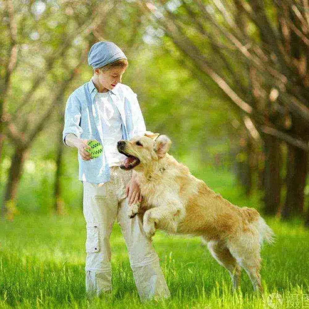 Bola Interativa Para Cães - Mundo Animalito