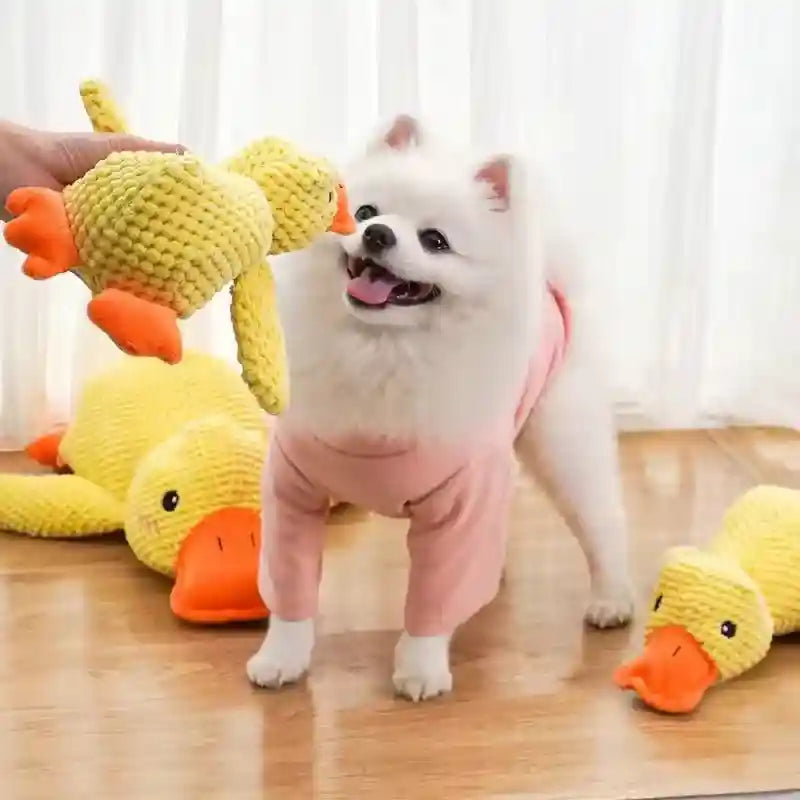 Cachorro branco brincando com brinquedo pato de pelúcia amarelo para cachorro em ambiente interno
