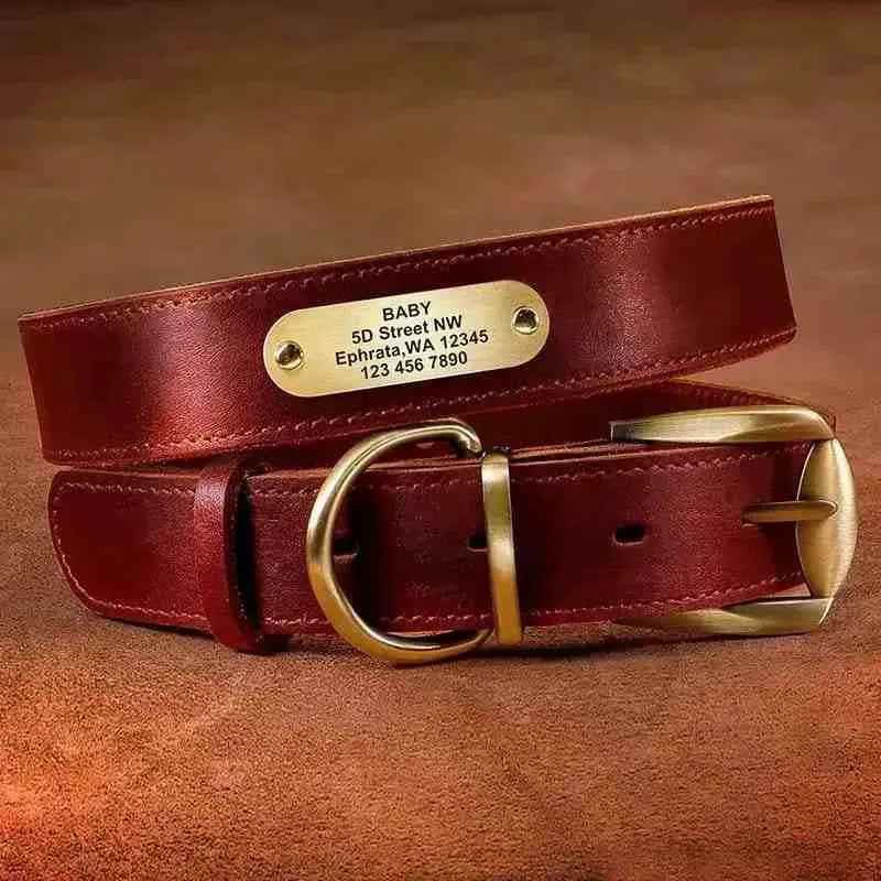 Coleira Personalizada de Couro com Nome, Telefone e Endereço para Cachorros - Mundo Animalito