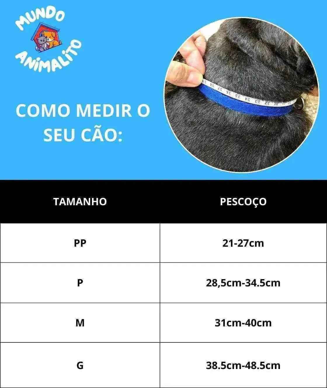 Coleira Personalizada De Couro Para Cachorros e Gatos | Mundo Animalito - Mundo Animalito