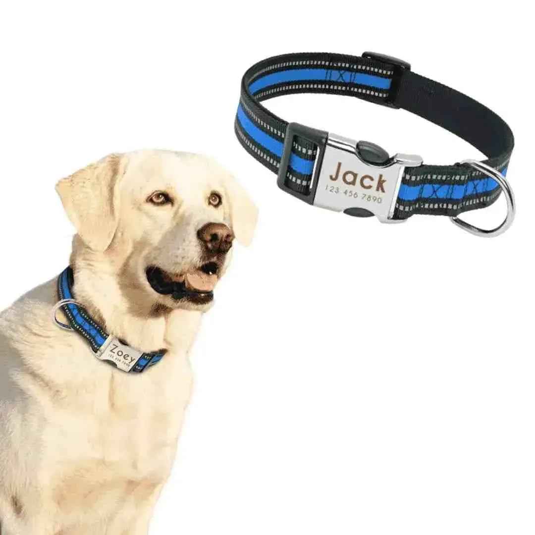 Coleira Personalizável Para Cães E Gatos - Mundo Animalito
