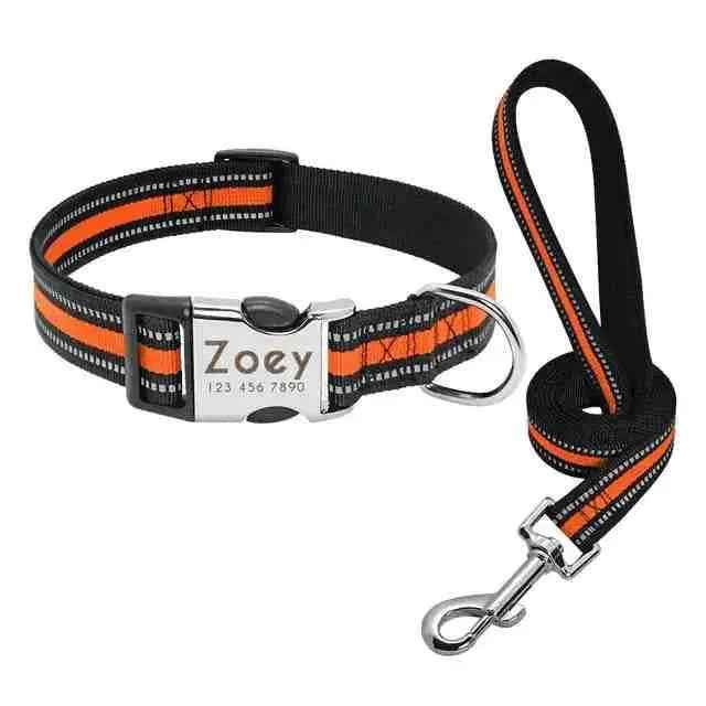 Coleira Personalizável Para Cães E Gatos - Mundo Animalito