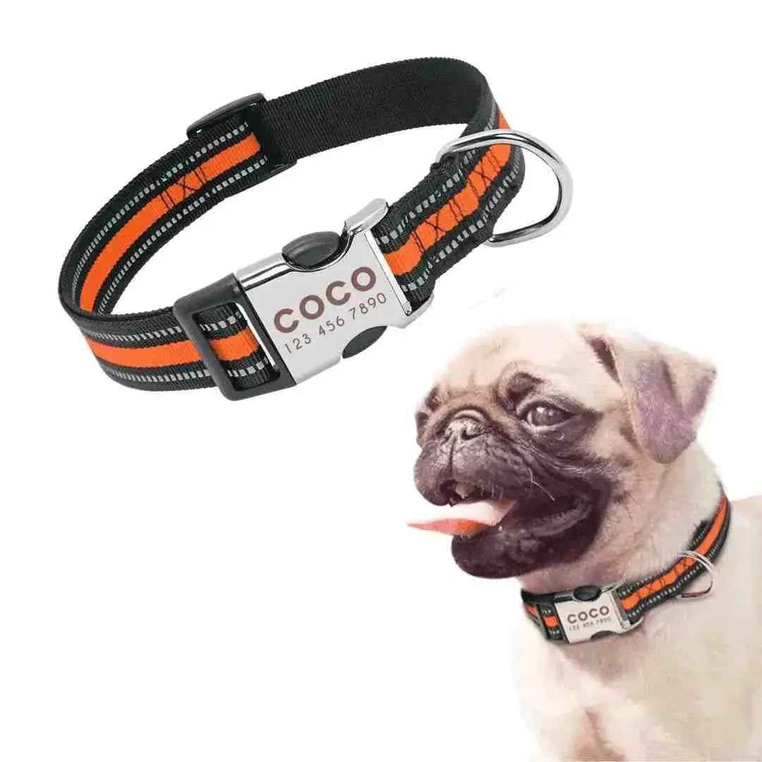 Coleira Personalizável Para Cães E Gatos - Mundo Animalito