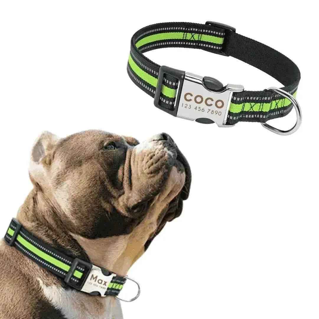 Coleira Personalizável Para Cães E Gatos - Mundo Animalito