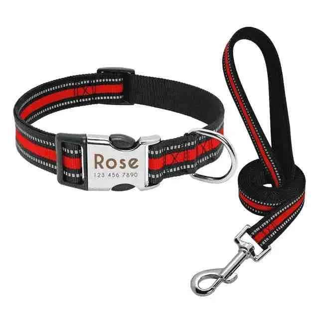 Coleira Personalizável Para Cães E Gatos - Mundo Animalito