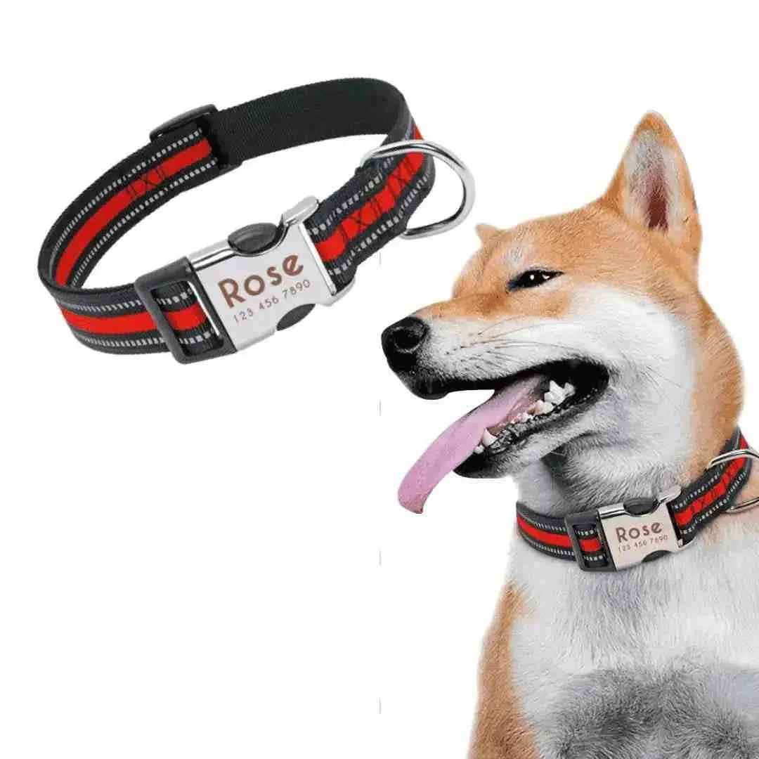 Coleira Personalizável Para Cães E Gatos - Mundo Animalito