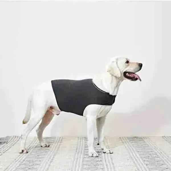 Colete Anti Pânico Para Cães - Antistress e Antiansiedade - Mundo Animalito
