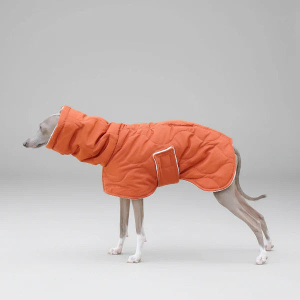 Casaco Impermeável Alcolchoado e Ajustável para Galgo Italiano e Whippet