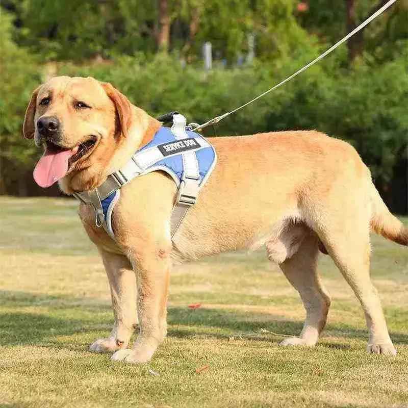 Peitoral Personalizado, Anti Puxão e Reforçado para Cachorros - Mundo Animalito