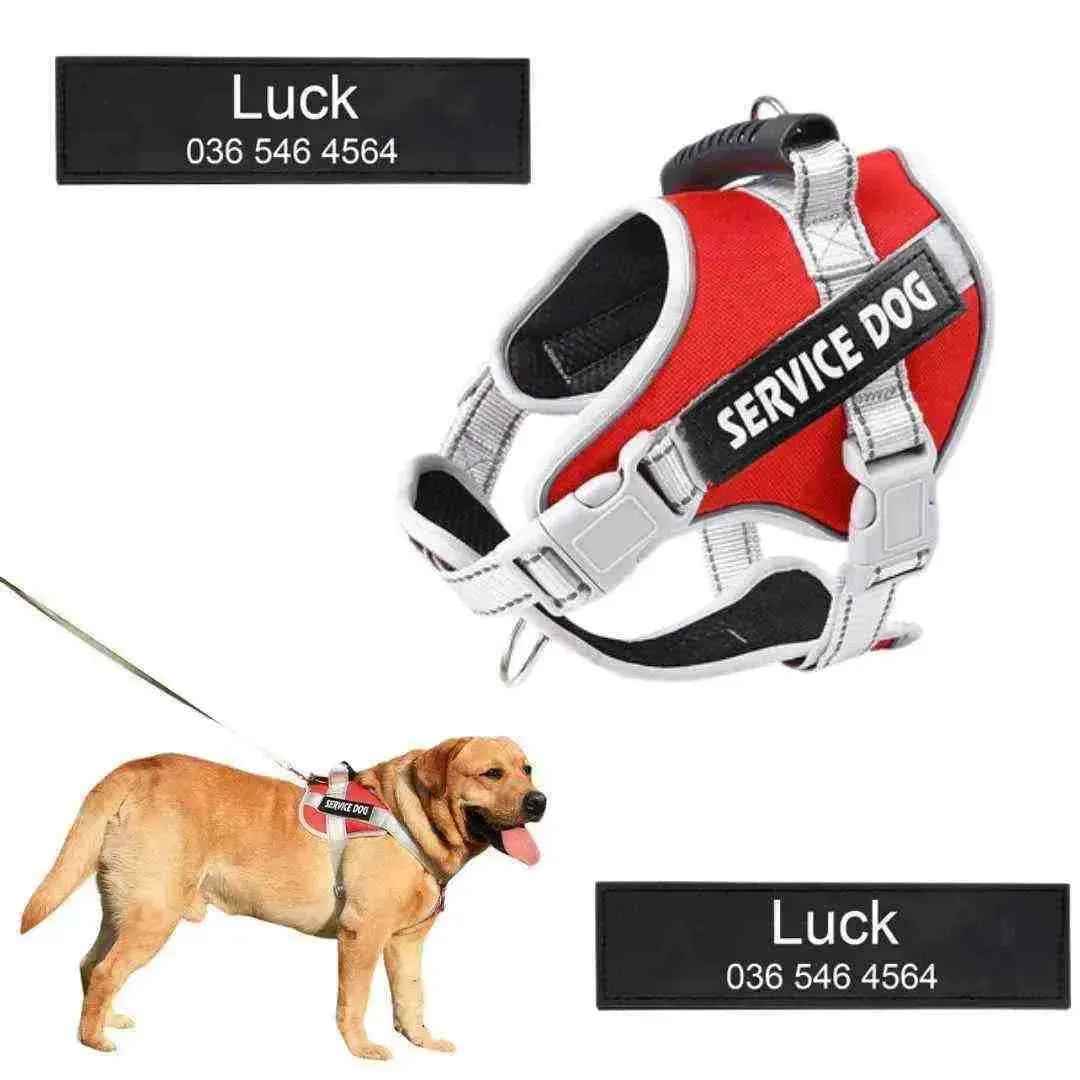 Peitoral Personalizado, Anti Puxão e Reforçado para Cachorros - Mundo Animalito