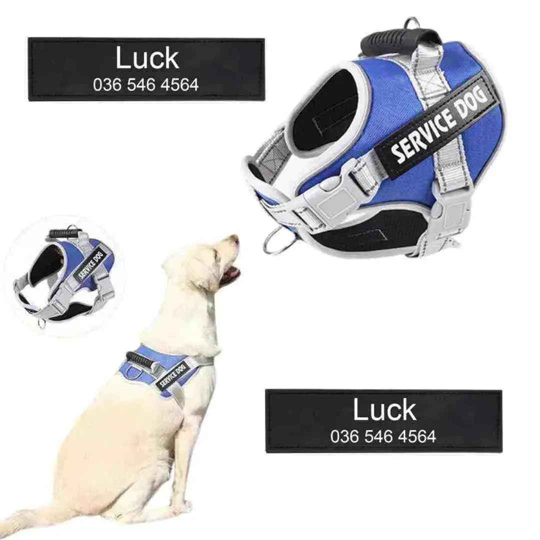 Peitoral Personalizado, Anti Puxão e Reforçado para Cachorros - Mundo Animalito