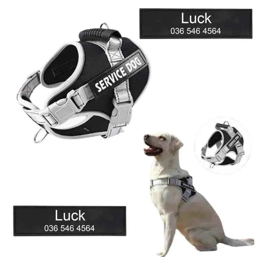 Peitoral Personalizado, Anti Puxão e Reforçado para Cachorros - Mundo Animalito