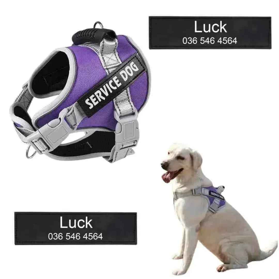 Peitoral Personalizado, Anti Puxão e Reforçado para Cachorros - Mundo Animalito