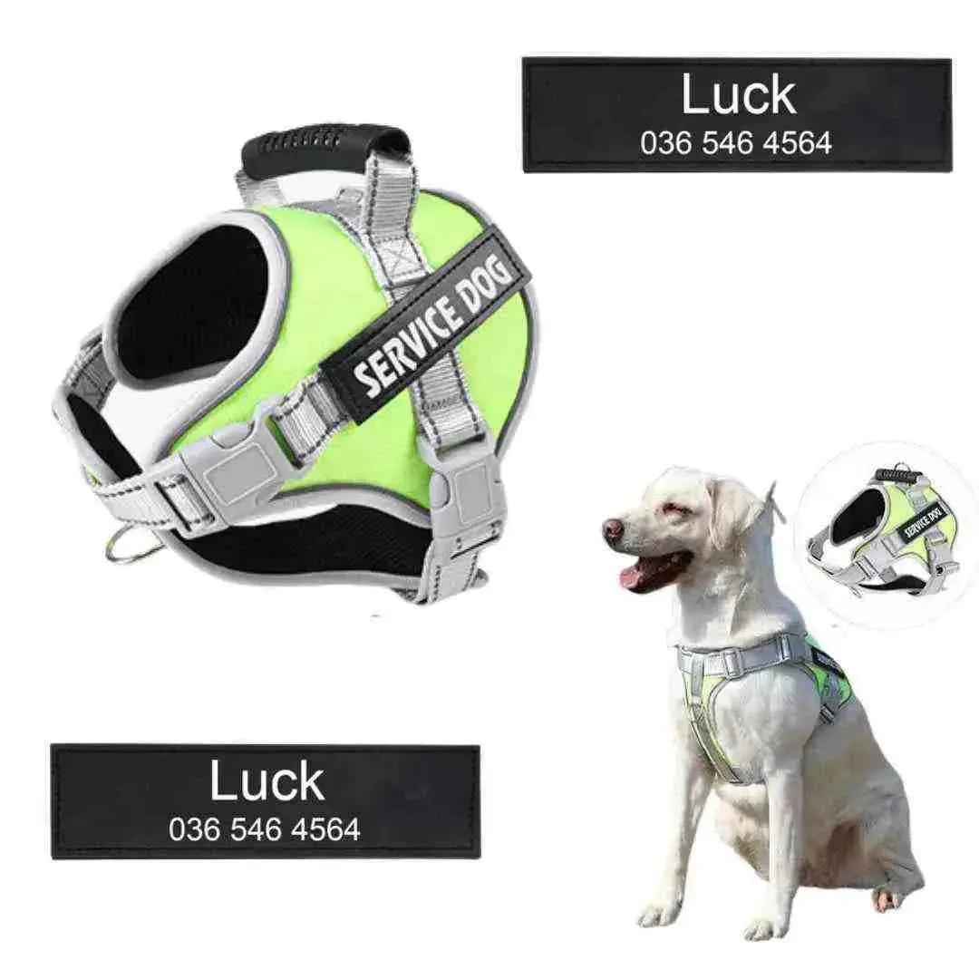 Peitoral Personalizado, Anti Puxão e Reforçado para Cachorros - Mundo Animalito