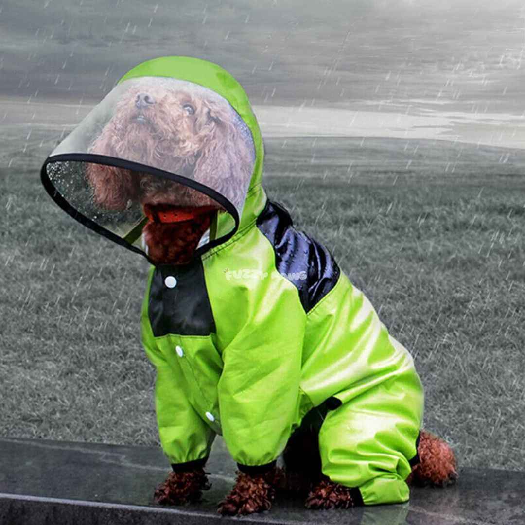 Capa de Chuva Impermeável e com Capuz para Cachorros – The Dog Face