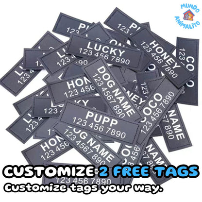 Safe Buddy Personalized Dog Harness with Name and Phone Number - Limited Edition