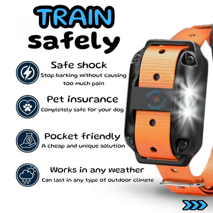 Rechargeable Training Collar, Waterproof 800m Range with Shock, Beep and Vibration