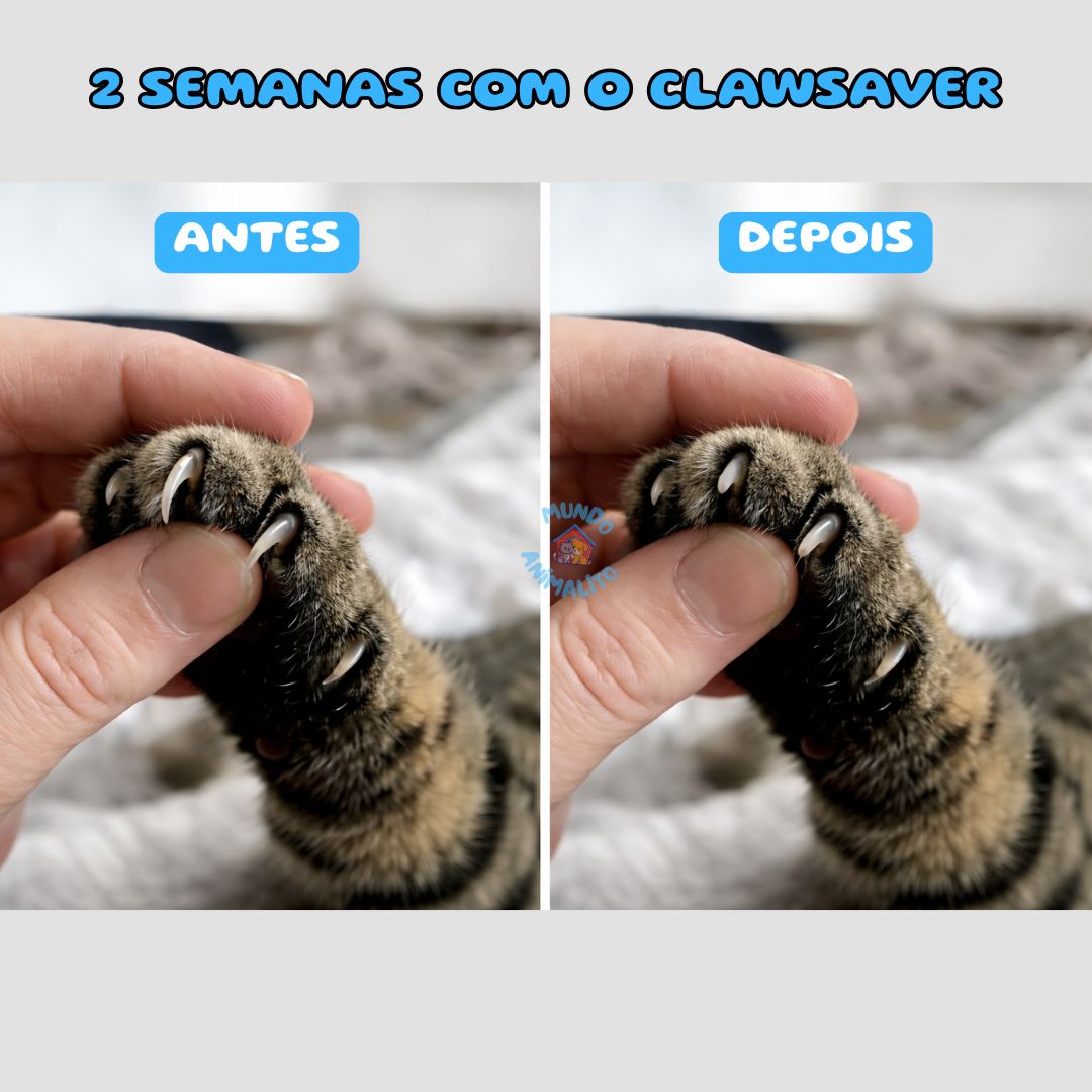 Brinquedo Interativo Quebra Cabeça Arranhador para Gatos