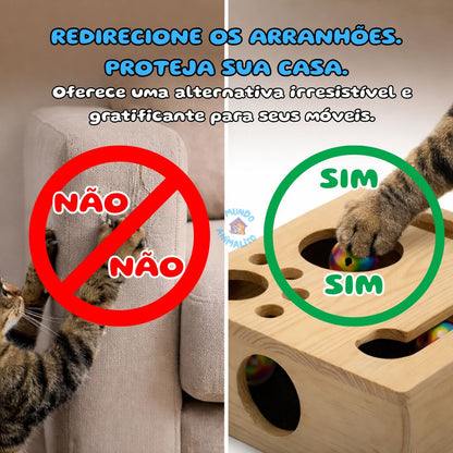Brinquedo Interativo Quebra Cabeça Arranhador para Gatos