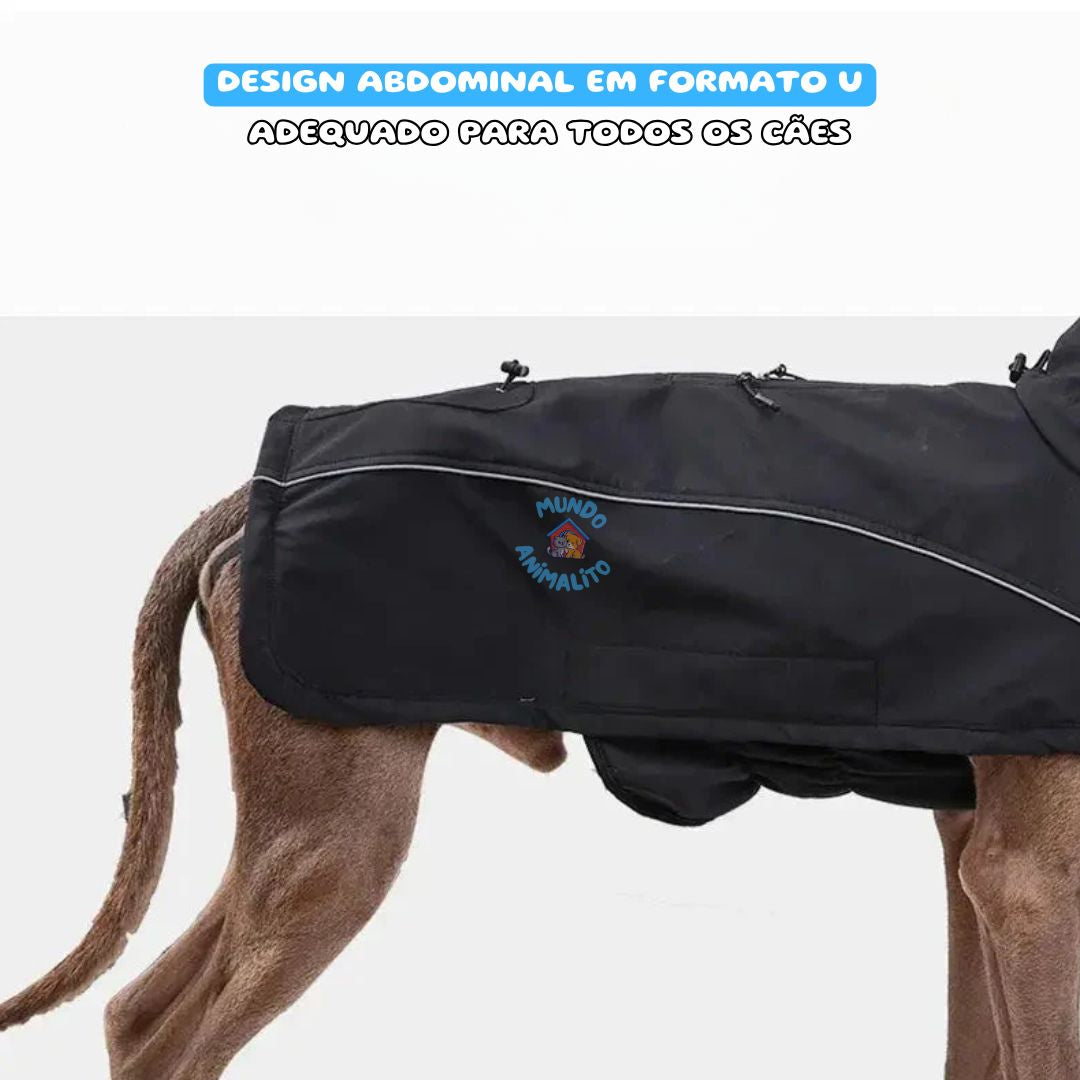 Jaqueta Impermeável com Forro de Lã para Cachorros