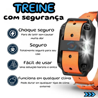 Coleira de Adestramento 800m Recarregável com Beep, Choque e Vibração