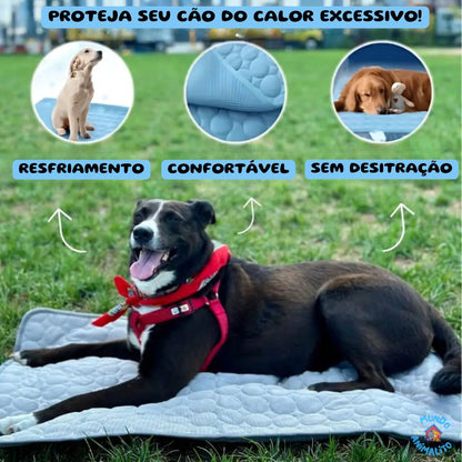 Tapete Gelado Pet — Refrescante e Lavável para Cão e Gato