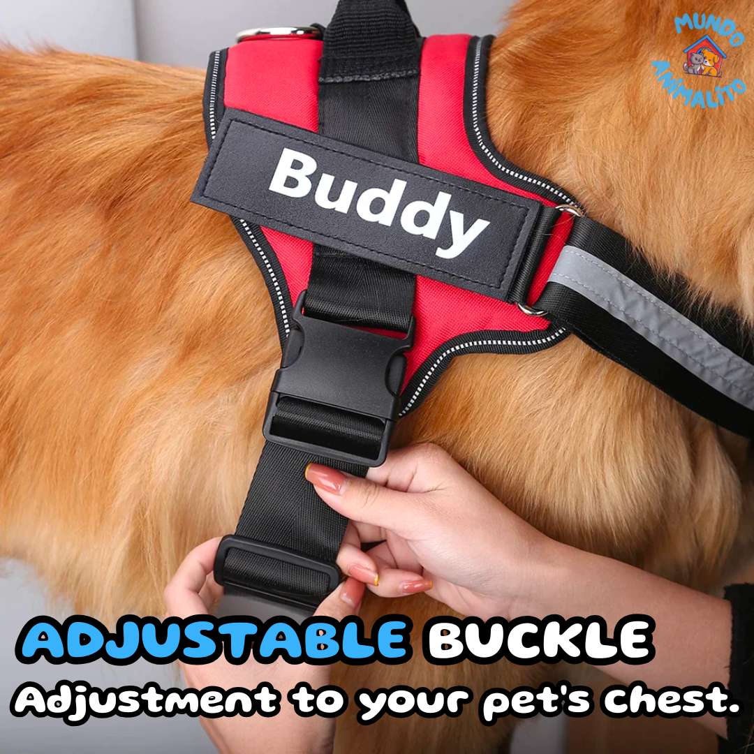 Safe Buddy Personalized Dog Harness: Adjustable, Reflective with Name and Phone Tags