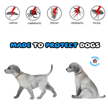 Flea Collar for Dogs and Cats - Protection Up to 8 Months