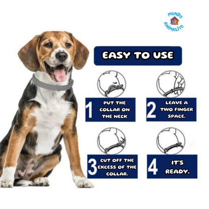 Flea Collar for Dogs and Cats - Protection Up to 8 Months