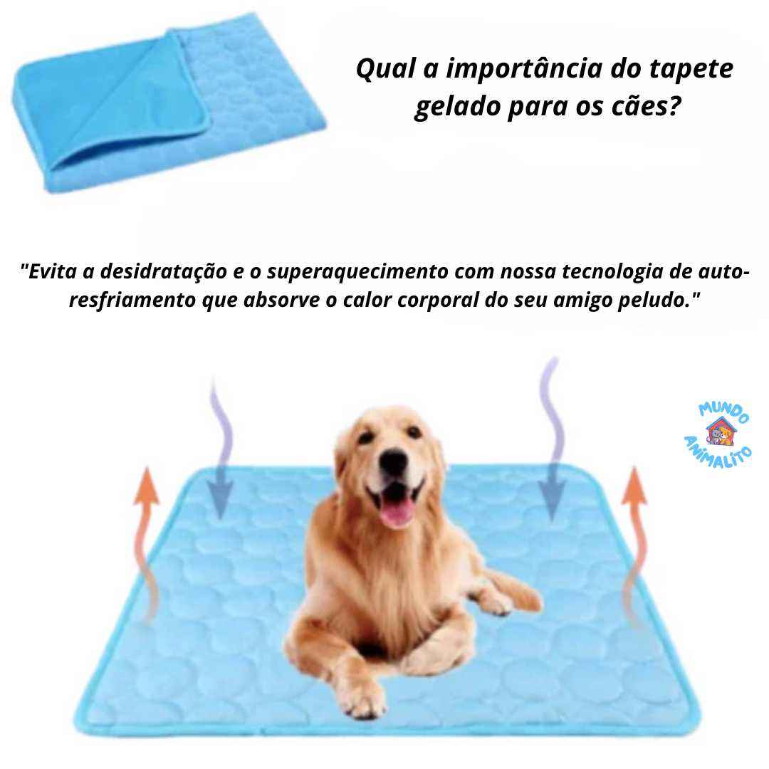 Pet Cold Mat for Dogs and Cats - Refreshing and Comfortable