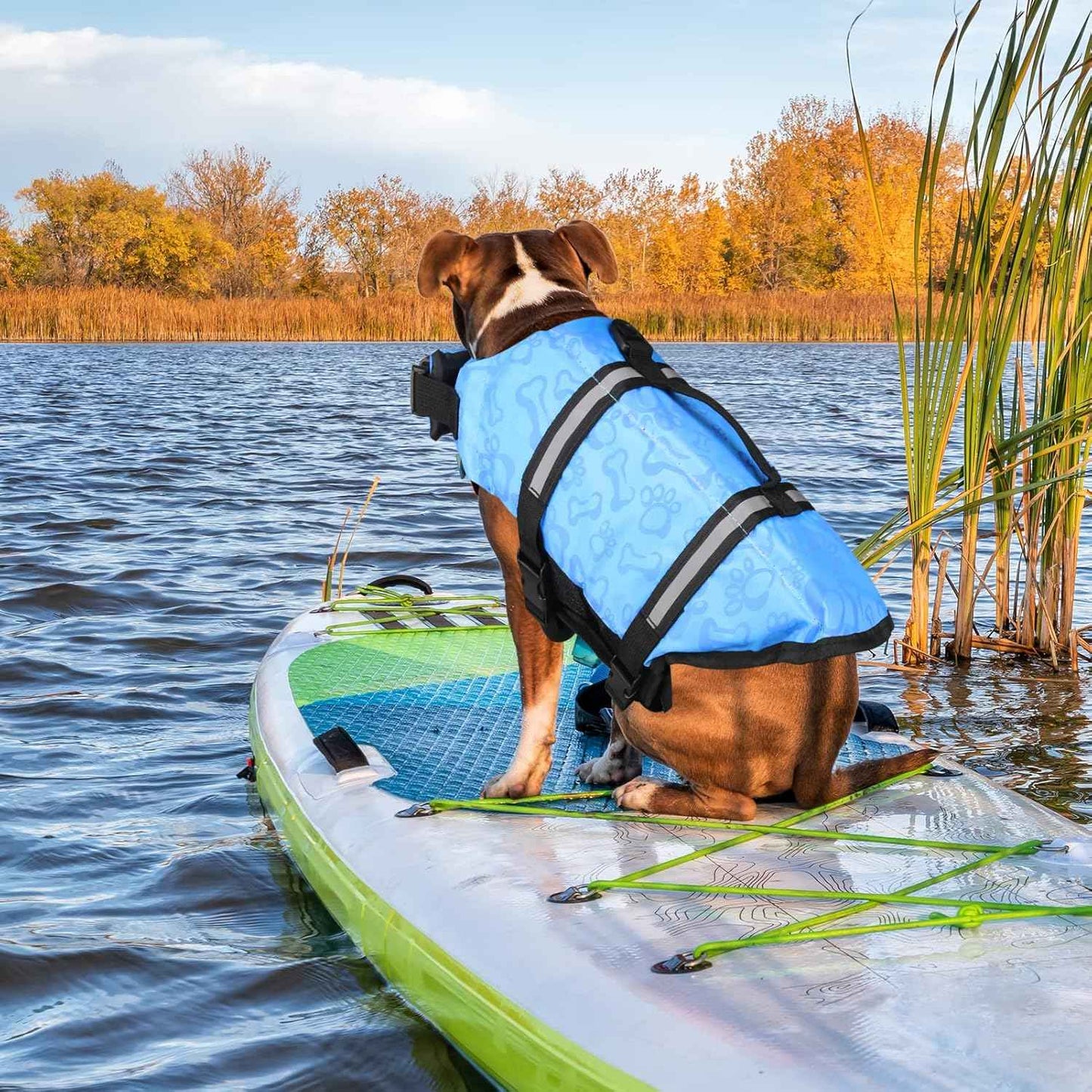 Colete Salva Vidas para Cachorros de Poliéster e Ajustável