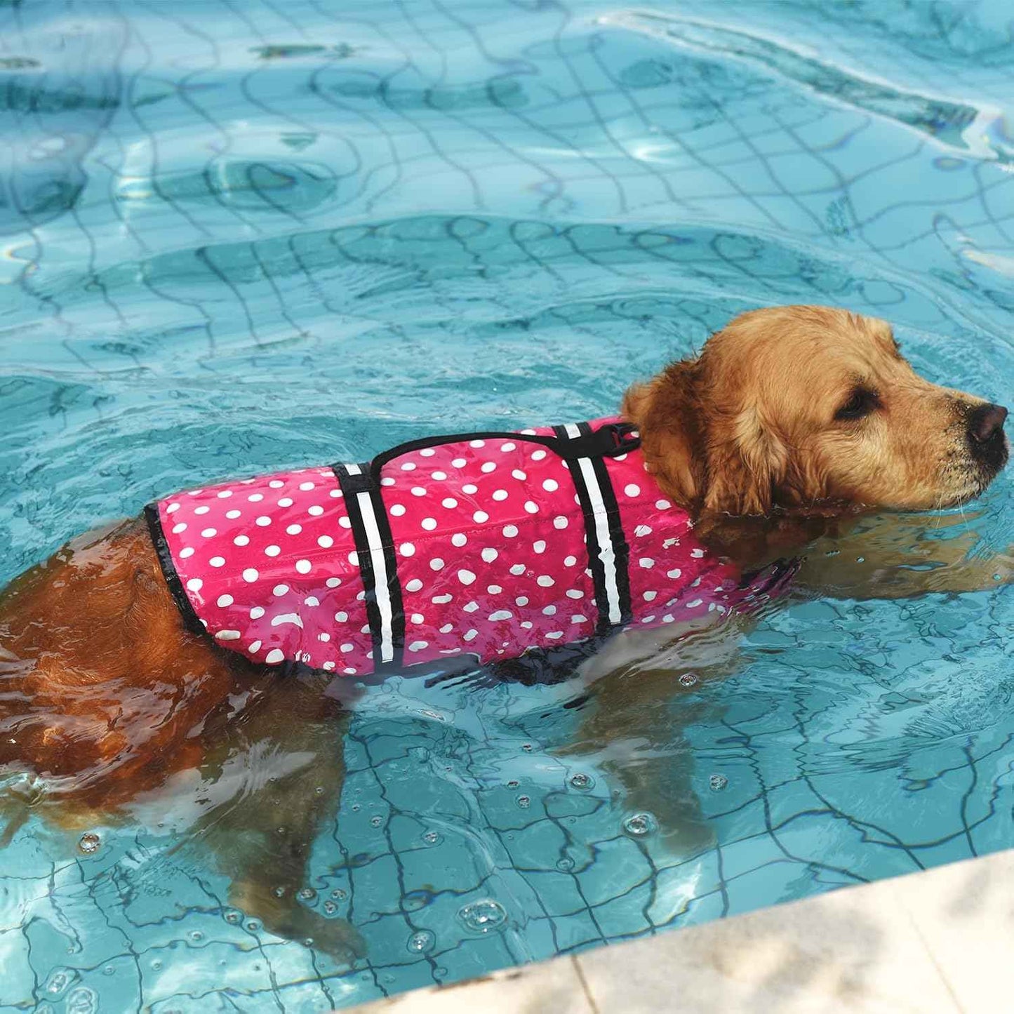 Colete Salva Vidas para Cachorros de Poliéster e Ajustável