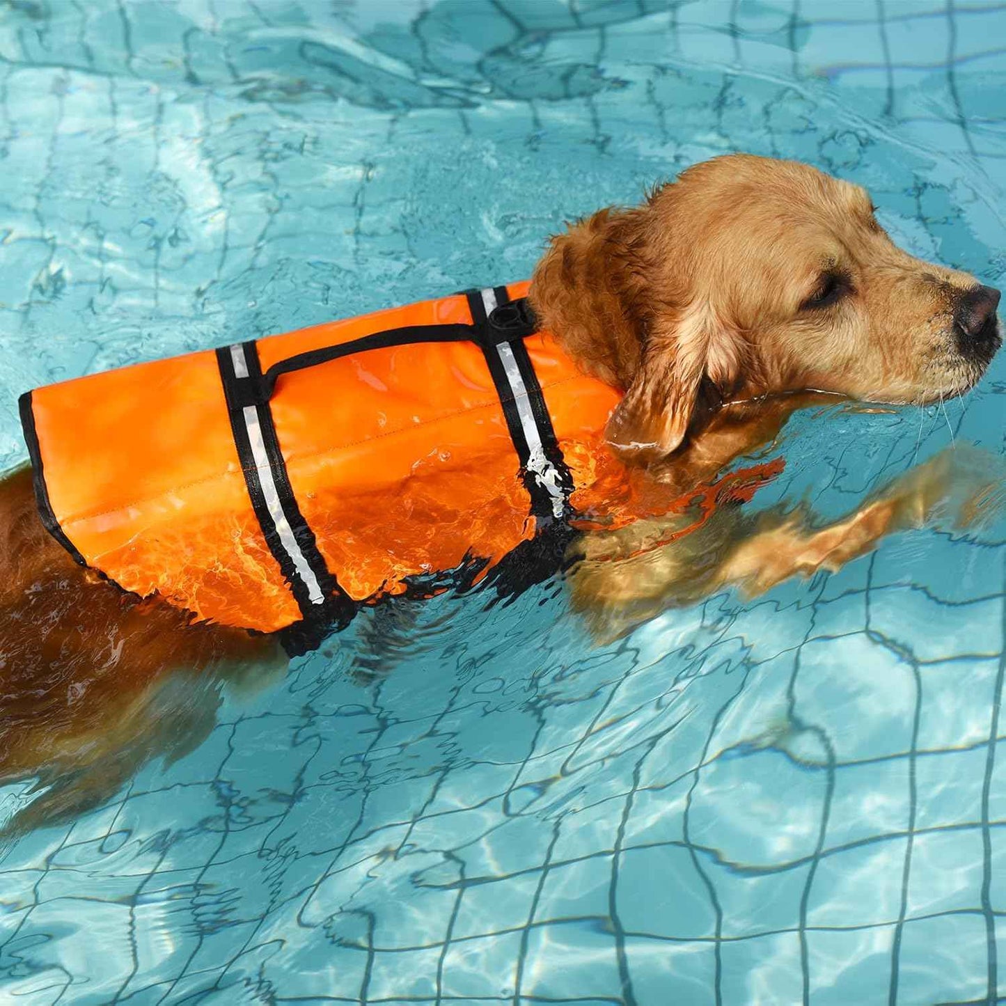 Colete Salva Vidas para Cachorros de Poliéster e Ajustável