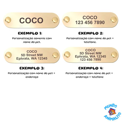 Coleira Personalizada de Couro com Nome, Telefone e Endereço para Cachorros