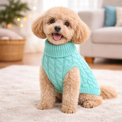 Suéter de Tricô com Gola para Cachorro - Roupa de Frio Pet