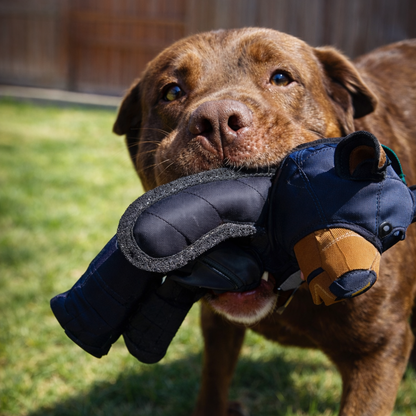 Urso De Pelúcia com Apito Para Cães