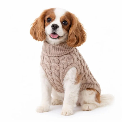 Suéter de Tricô com Gola para Cachorro - Roupa de Frio Pet
