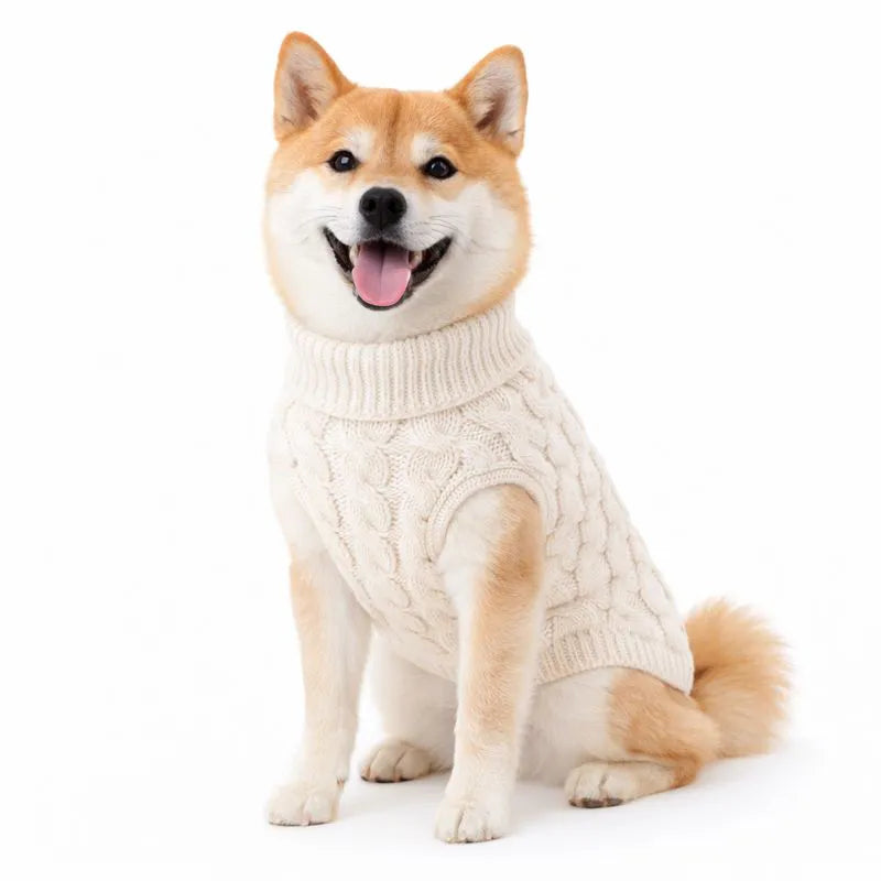 Suéter de Tricô com Gola para Cachorro - Roupa de Frio Pet