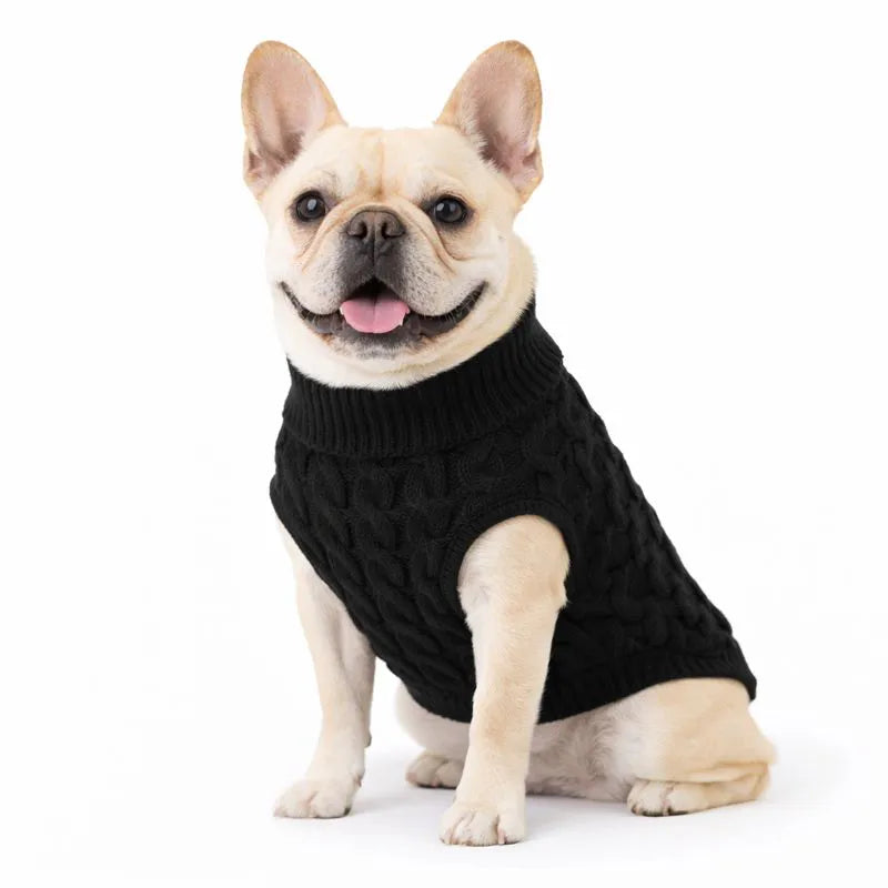 Suéter de Tricô com Gola para Cachorro - Roupa de Frio Pet