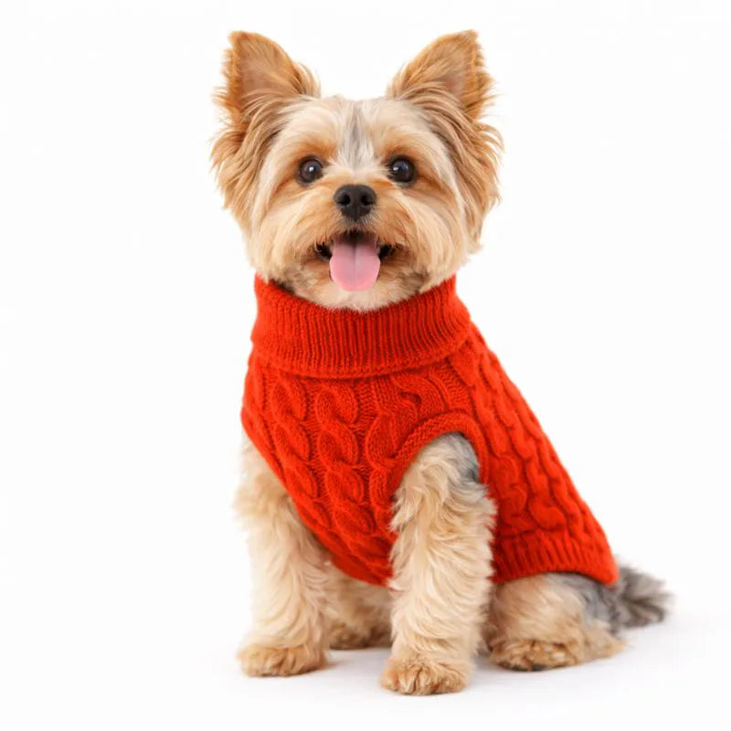 Suéter de Tricô com Gola para Cachorro - Roupa de Frio Pet