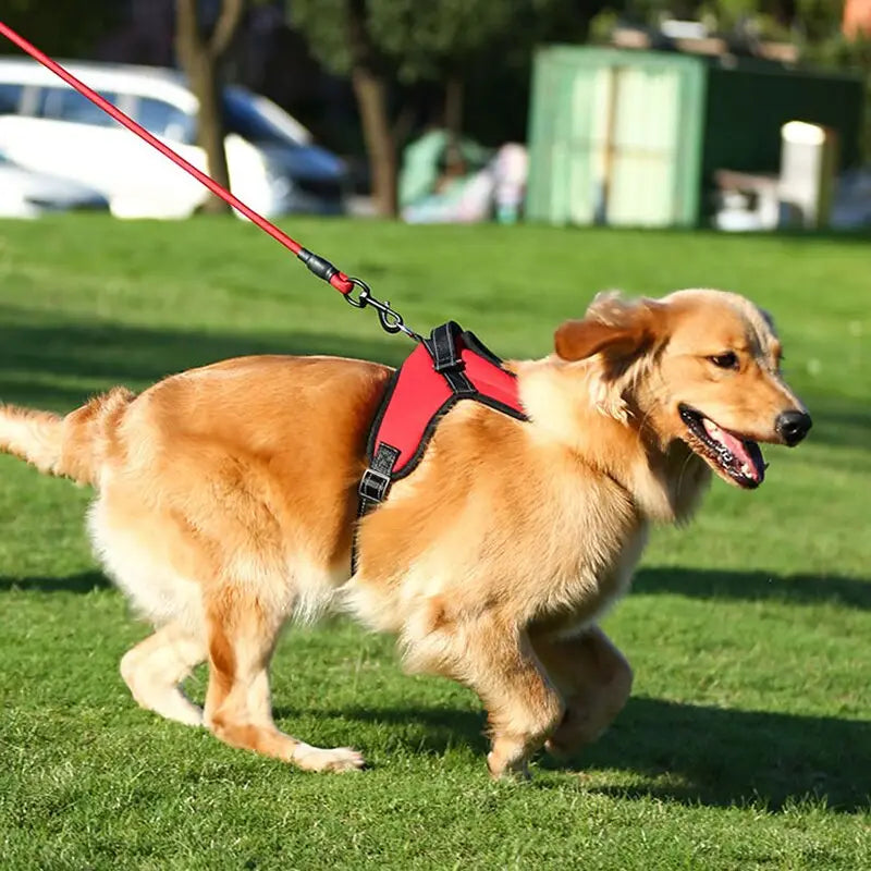 Peitoral Ajustável para Cachorros e Gatos de Pequeno e Grande Porte