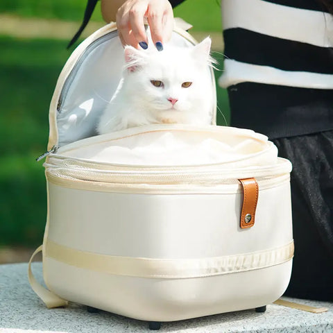 Mochila para Transportar e Carregar Gatos de Luxo