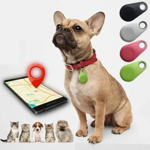 Rastreador Gps para Cães e Gatos com Bluetooth 4.0 e Alcance de 25m