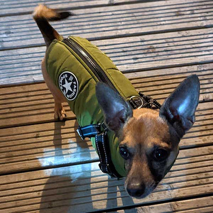 dog coat with built in harness and zip